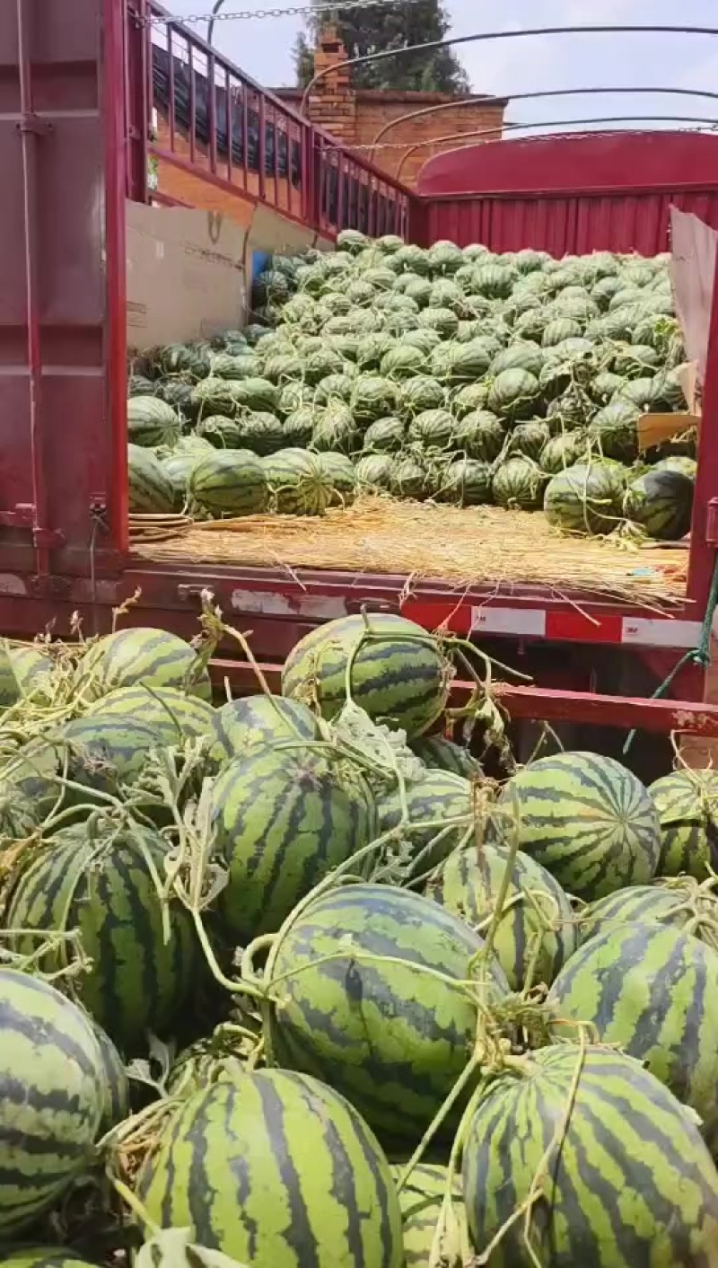甜王
