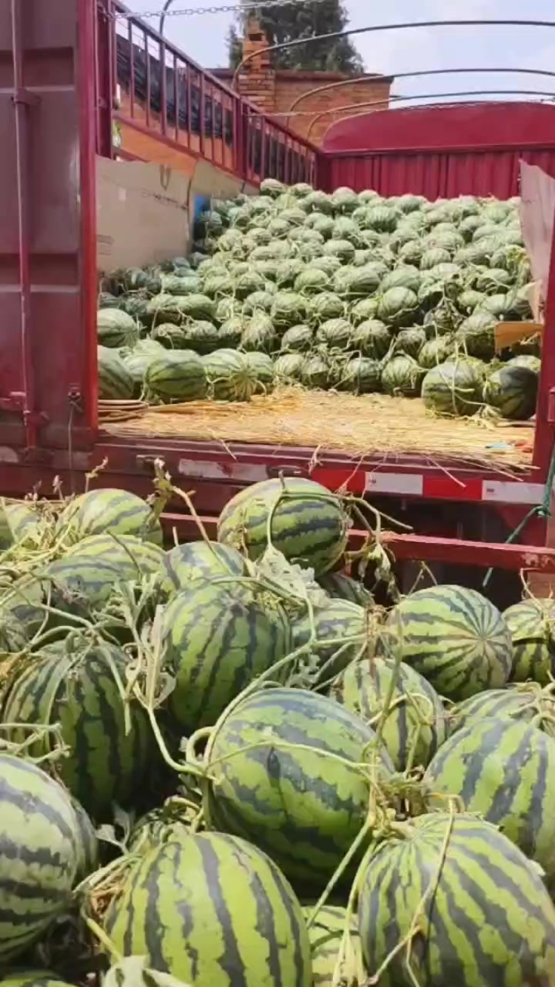 甜王