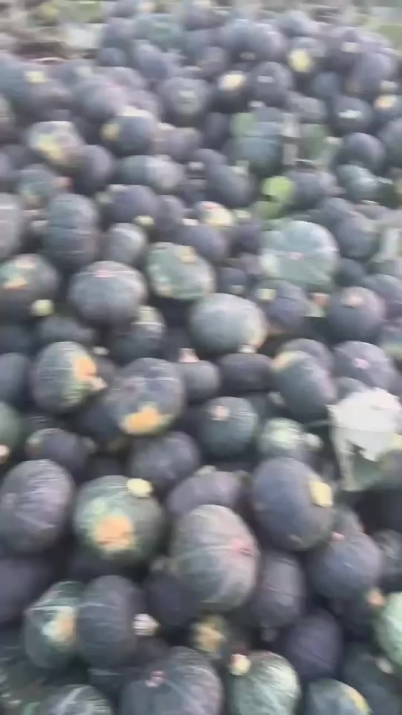 贝贝南瓜