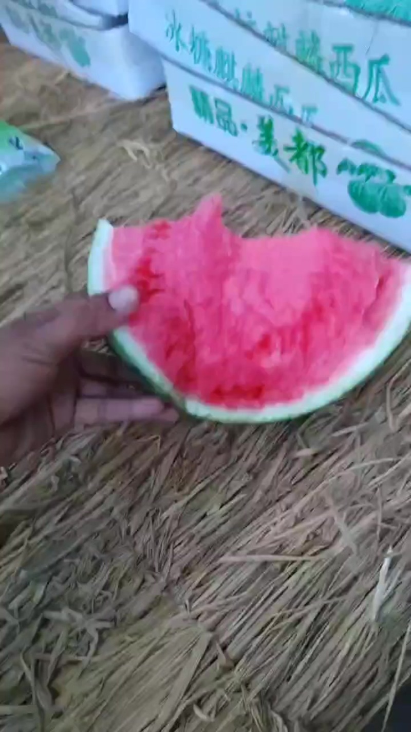 精品美都产地直发，质量三包，验瓜师个个过手