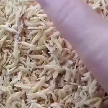 烘烤小小虾米，清仓大甩卖，十成干货，只是个头小点