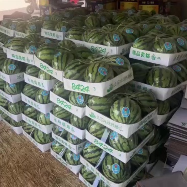 精品瓜通货大量有货
