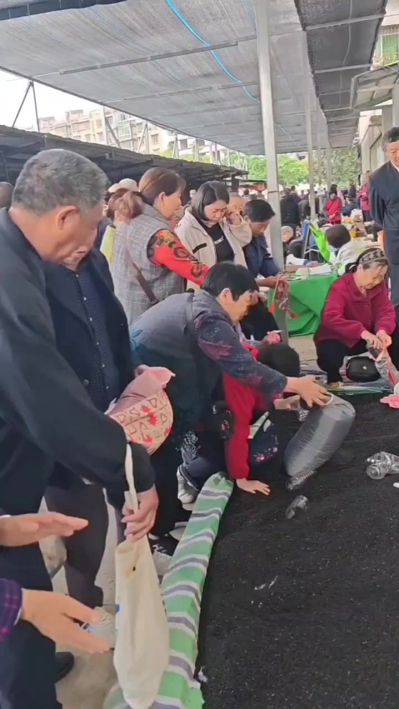 重庆江津装枕头专用花椒籽，纯黑色亮皮，精品净货