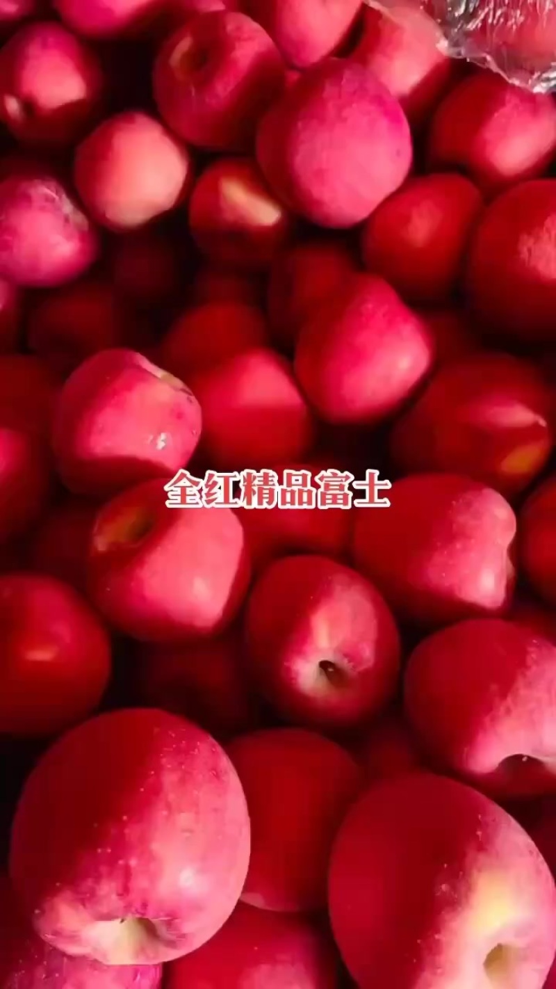 红富土苹果