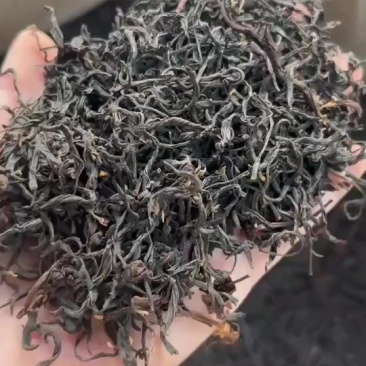 果香正山小种包邮
