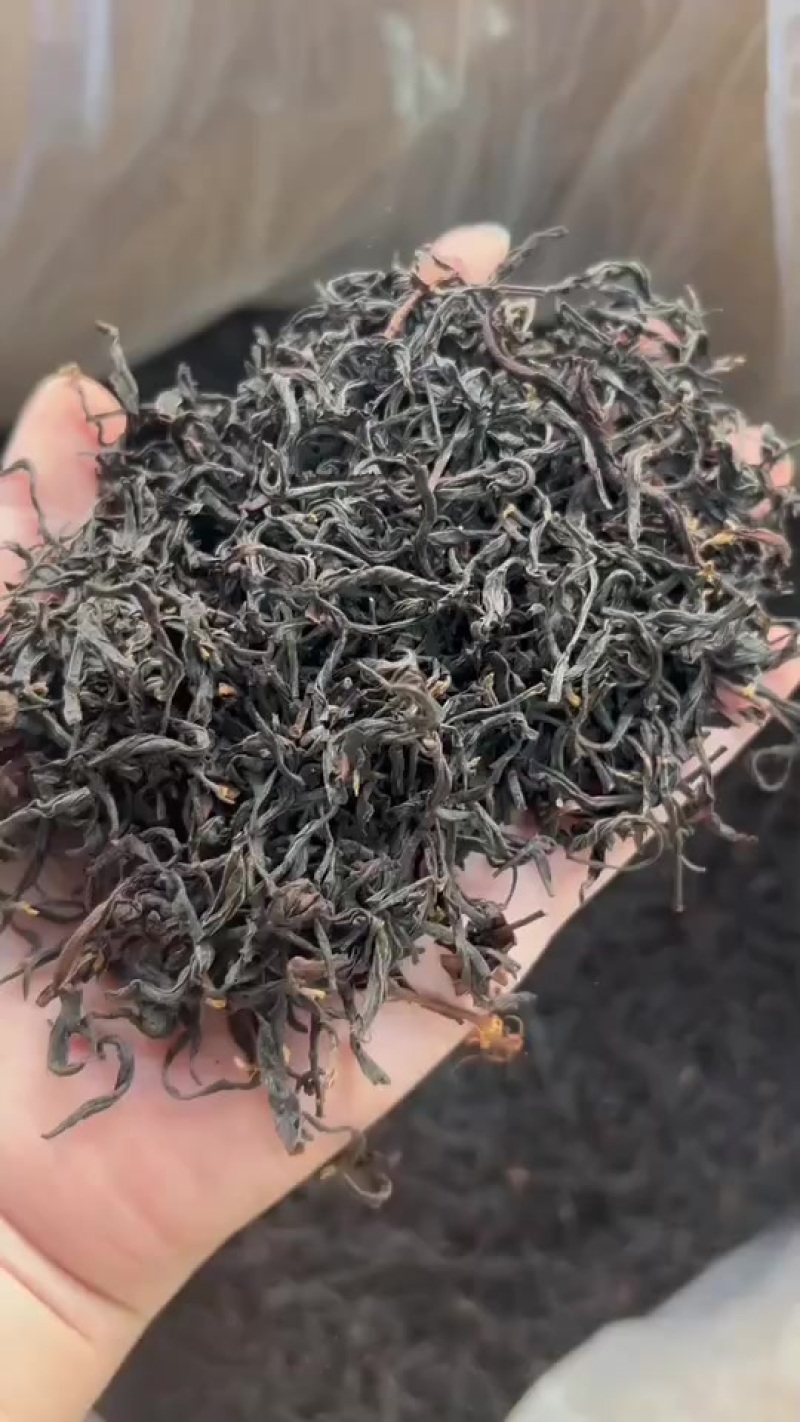 果香正山小种包邮