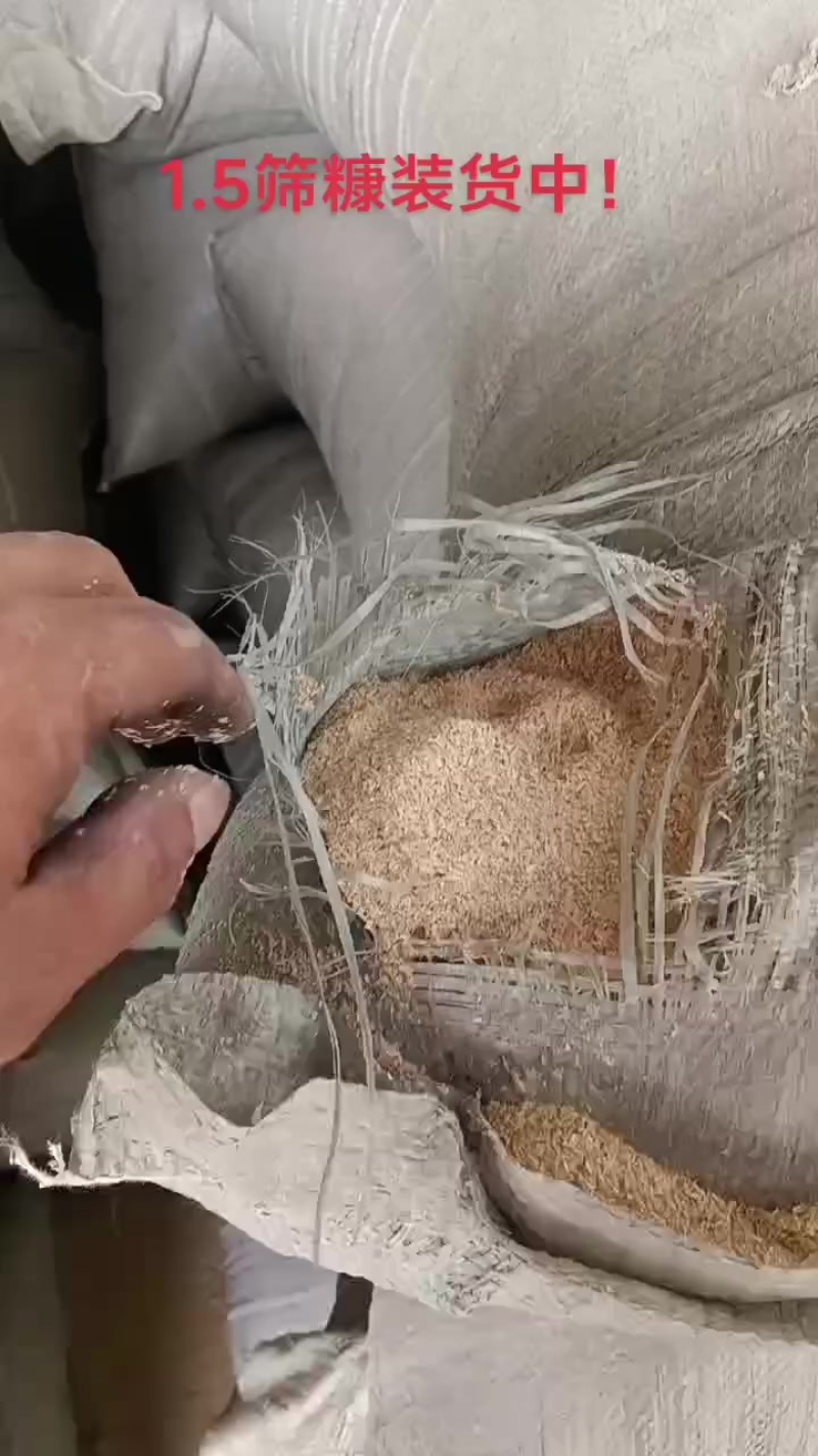 1.5筛糠装货中！
