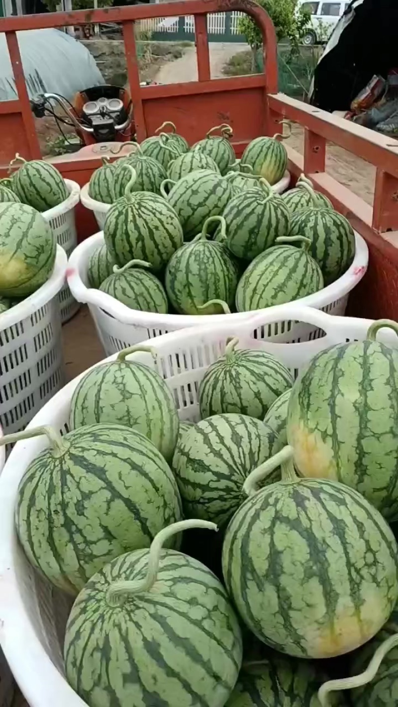 嘉秀口口脆