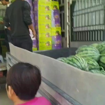 美都麒麟西瓜