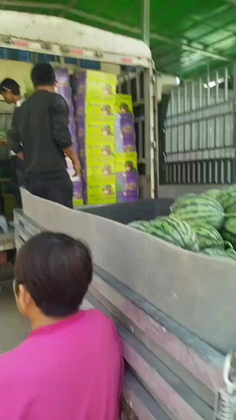 美都麒麟西瓜