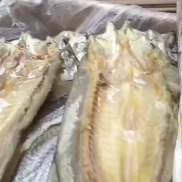开边开鱼，新鲜度非常好，价格便宜好吃