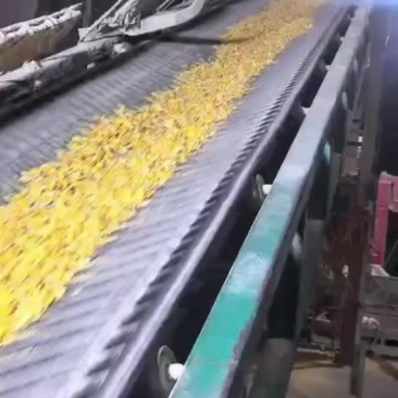 玉米压片