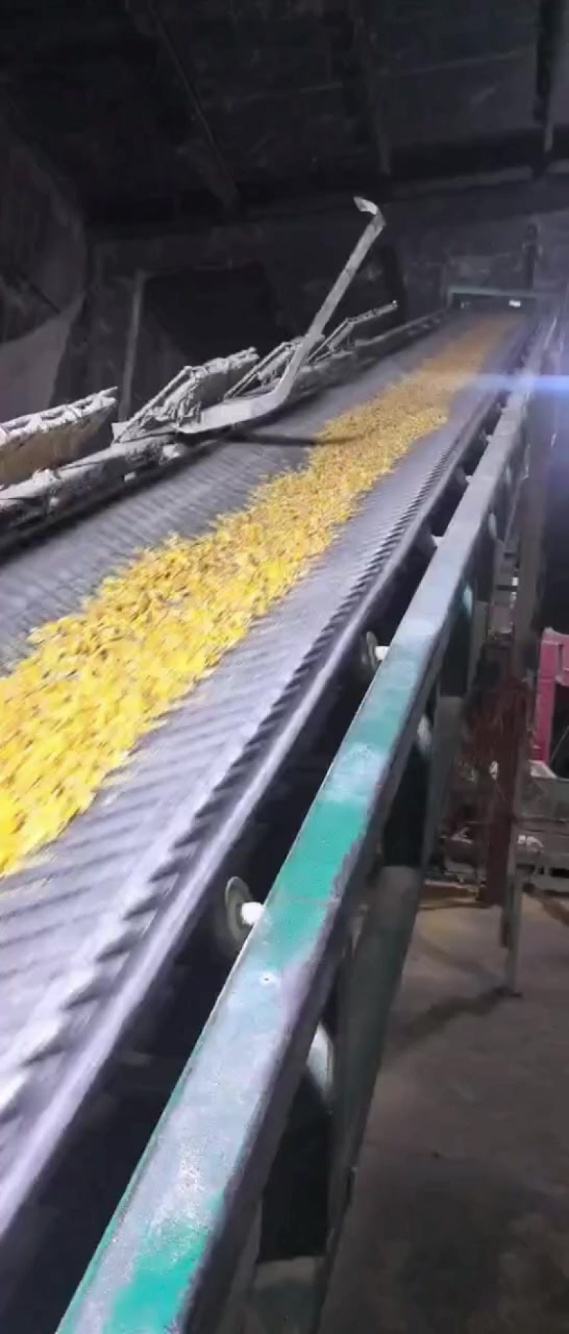 玉米压片