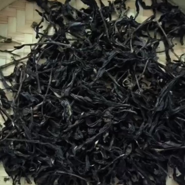 潮州单枞茶