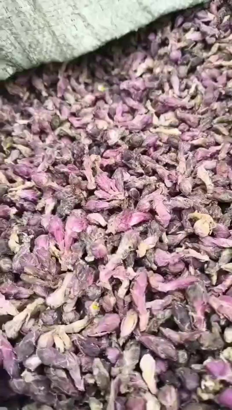 款冬花