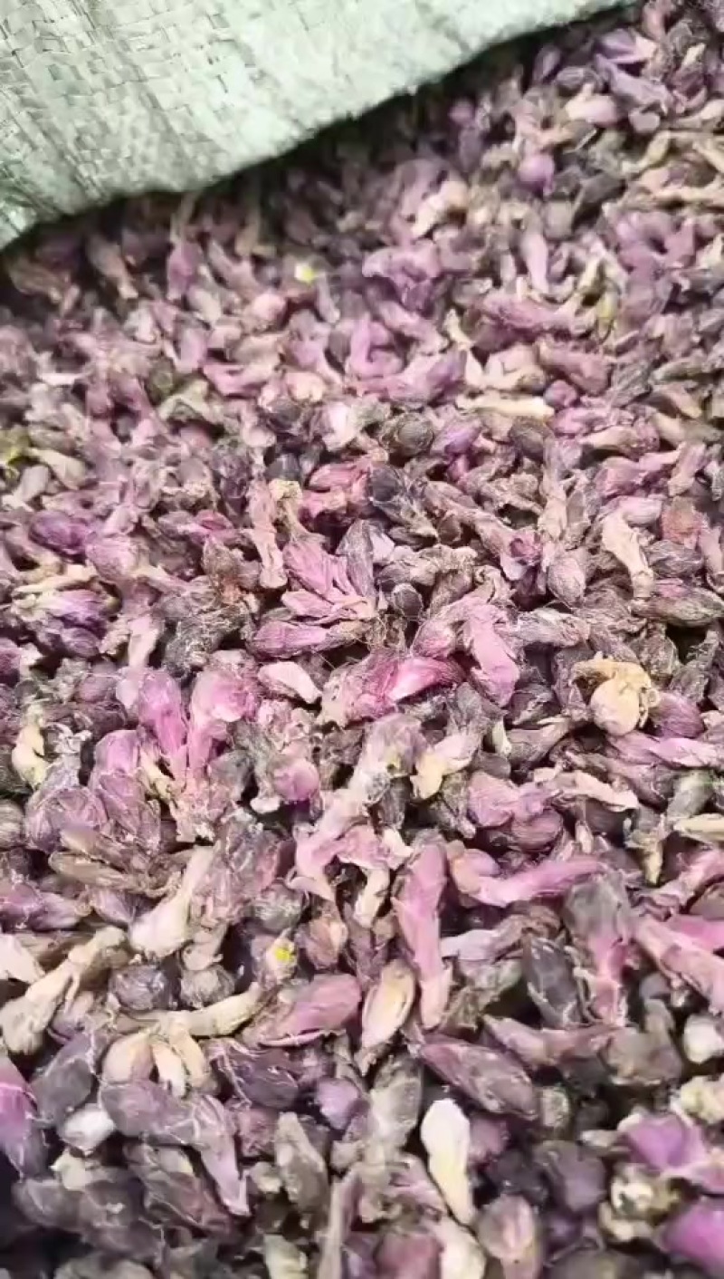 款冬花