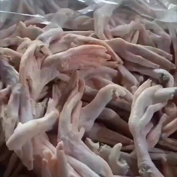 带筋小鸭掌6吨