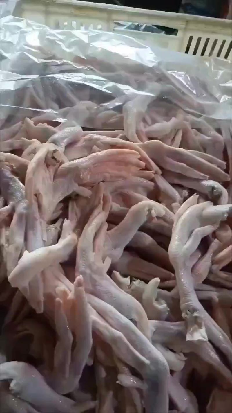 带筋小鸭掌6吨