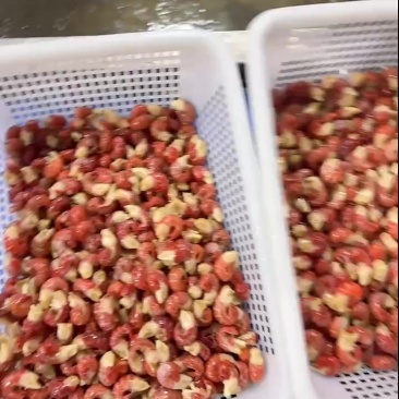 虾尾定制，原料出售