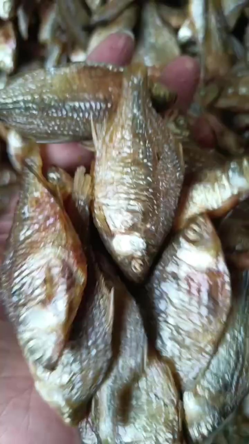 水煮鳑鲏，质量好，价格实惠