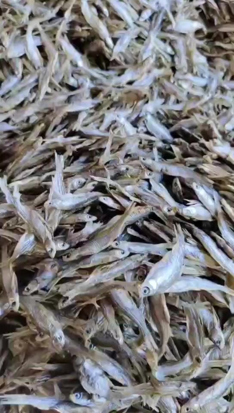生晒亮皮白条十成干，质量保证非常好，价格实惠