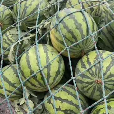 美都711大量有货便宜了今天低价