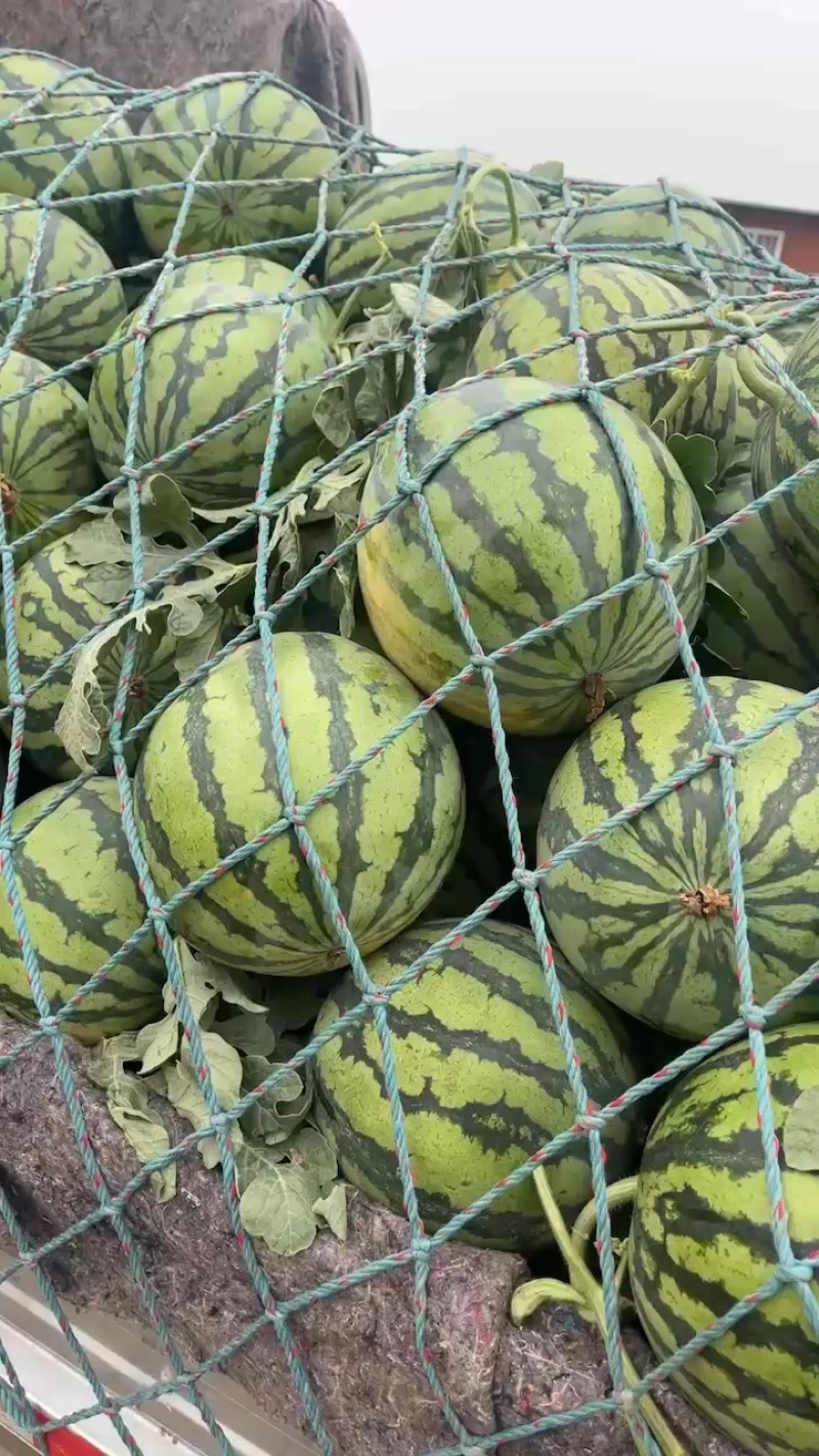 美都711大量有货便宜了今天低价