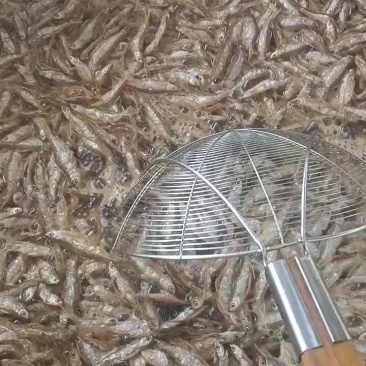 野生河鱼干，油炸小白条