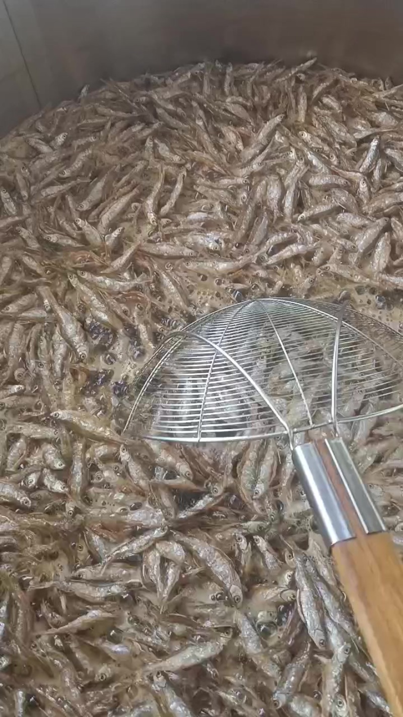 野生河鱼干，油炸小白条