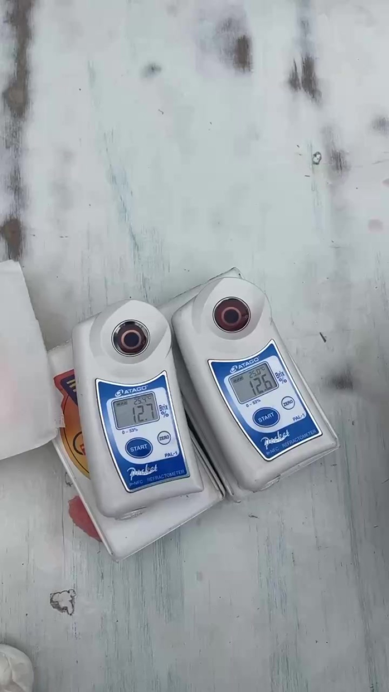 美都711大量上市今天历史***