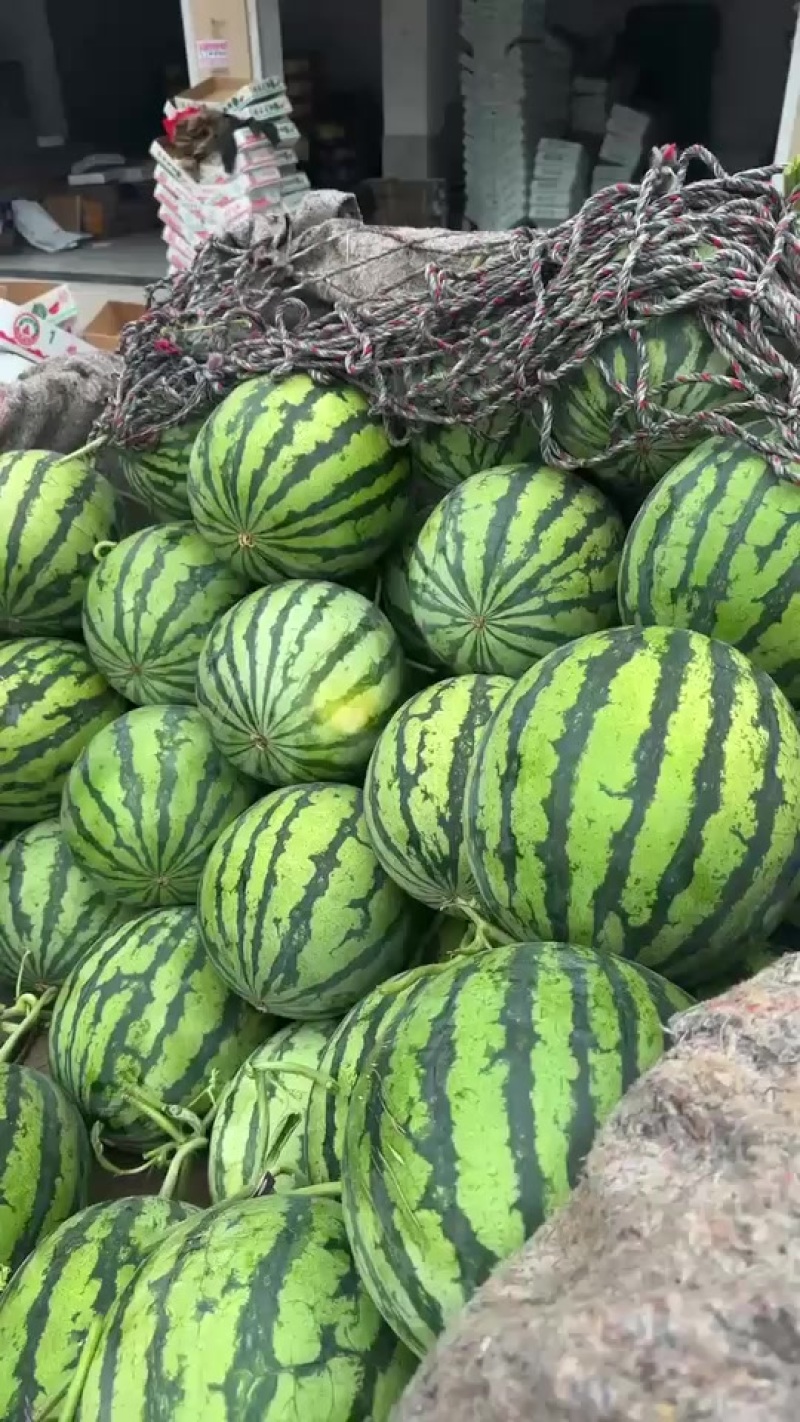 西瓜🍉🍉美都711大量上市