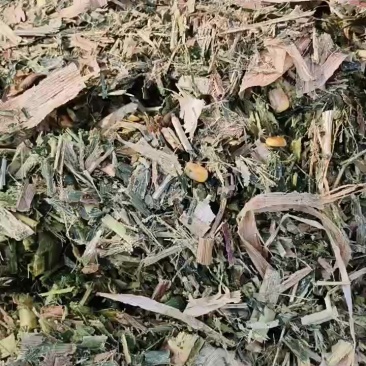 黄储