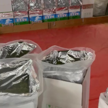 中黄茶，很多人当白茶卖