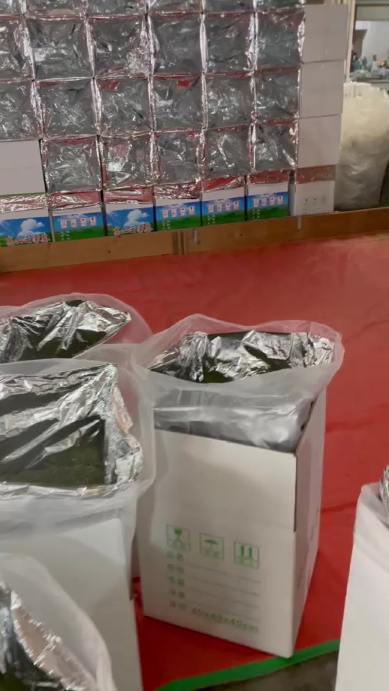 中黄茶，很多人当白茶卖