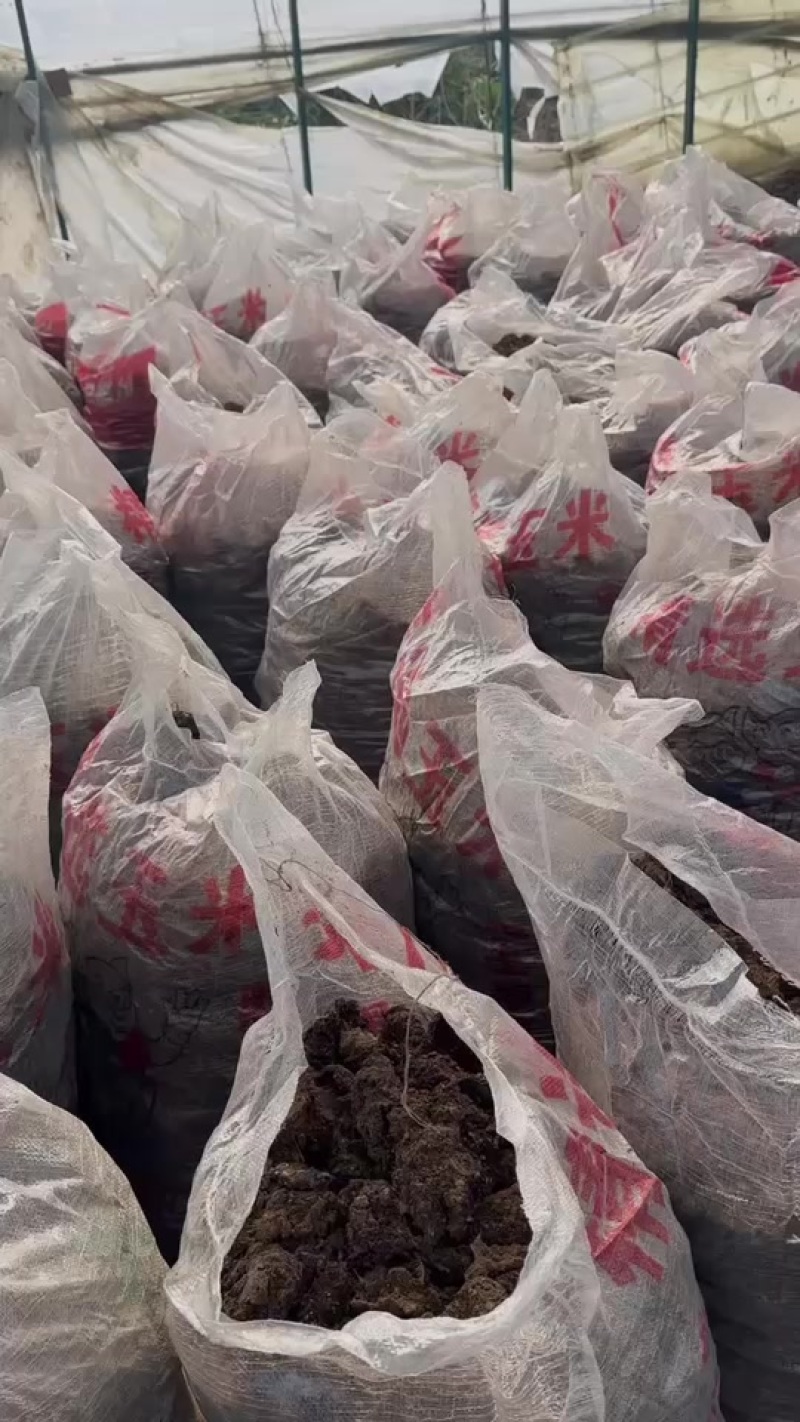 干鸡粪