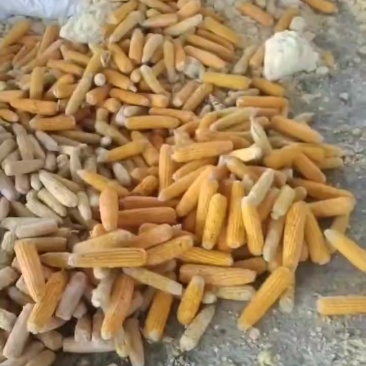甜糯玉米粉碎料