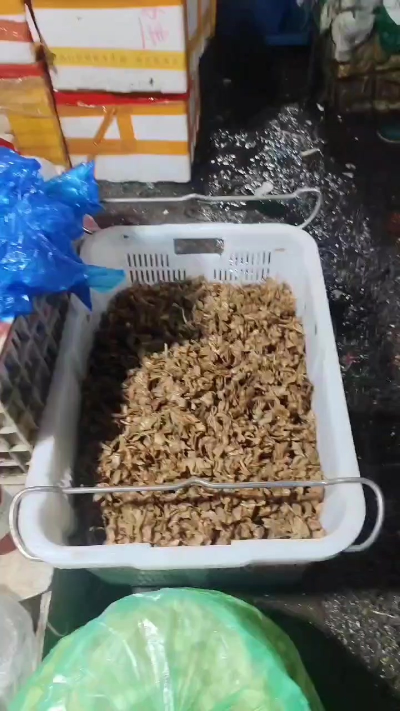 1000斤桅子花***********饶生