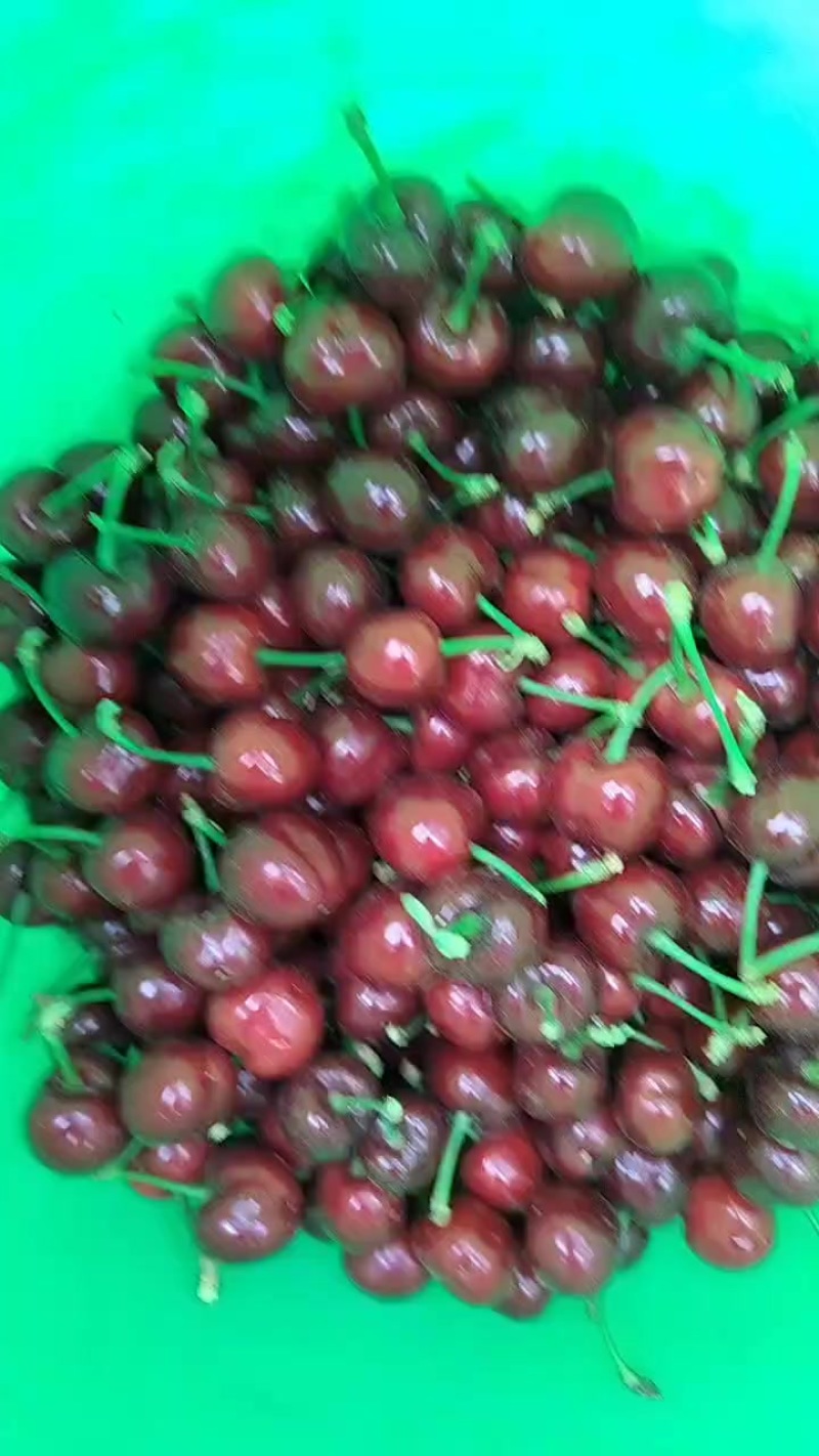 樱桃