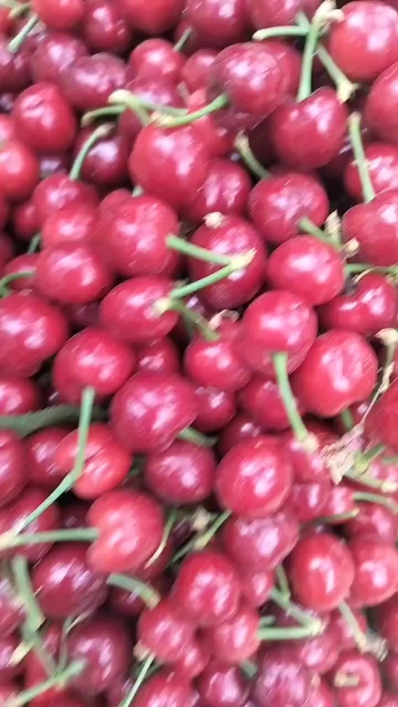 樱桃