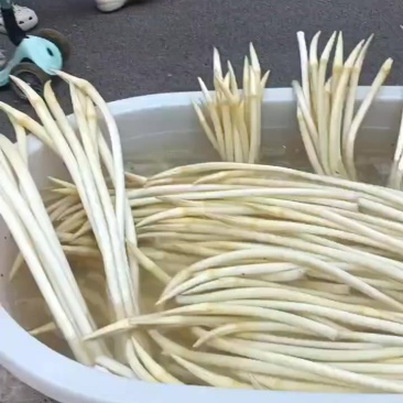 藕带