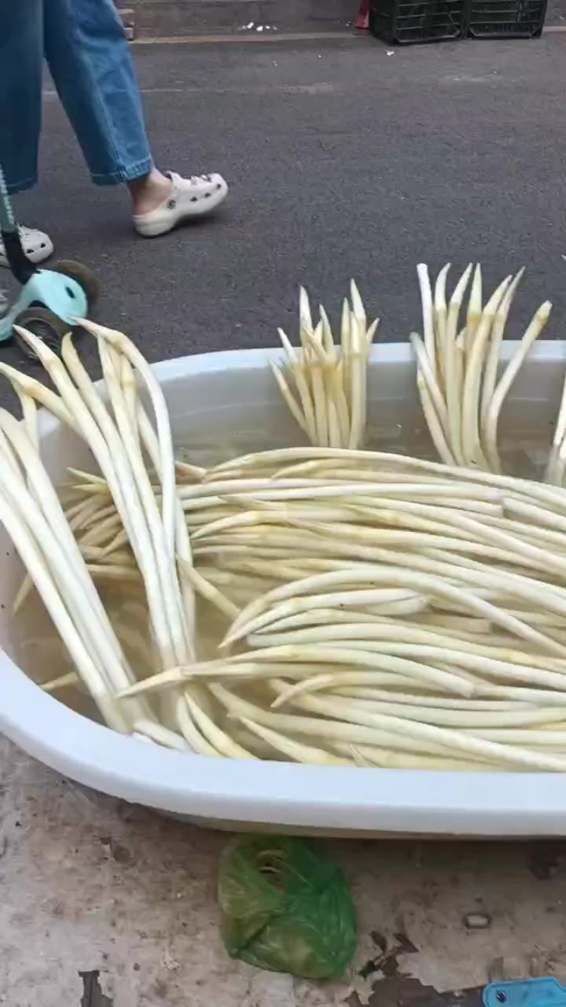 藕带