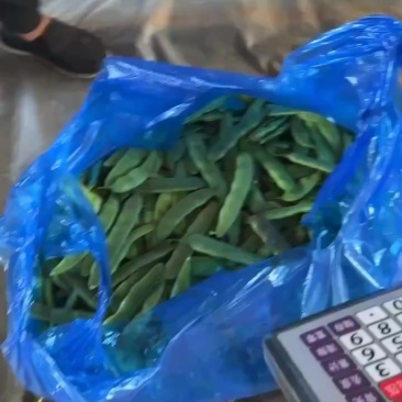 需要扶余油豆角的老板联系