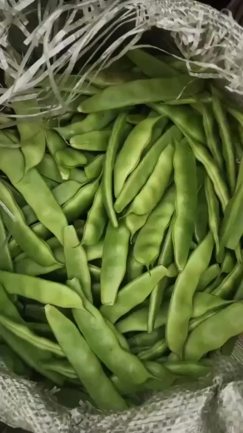 需要扶余油豆角的老板联系