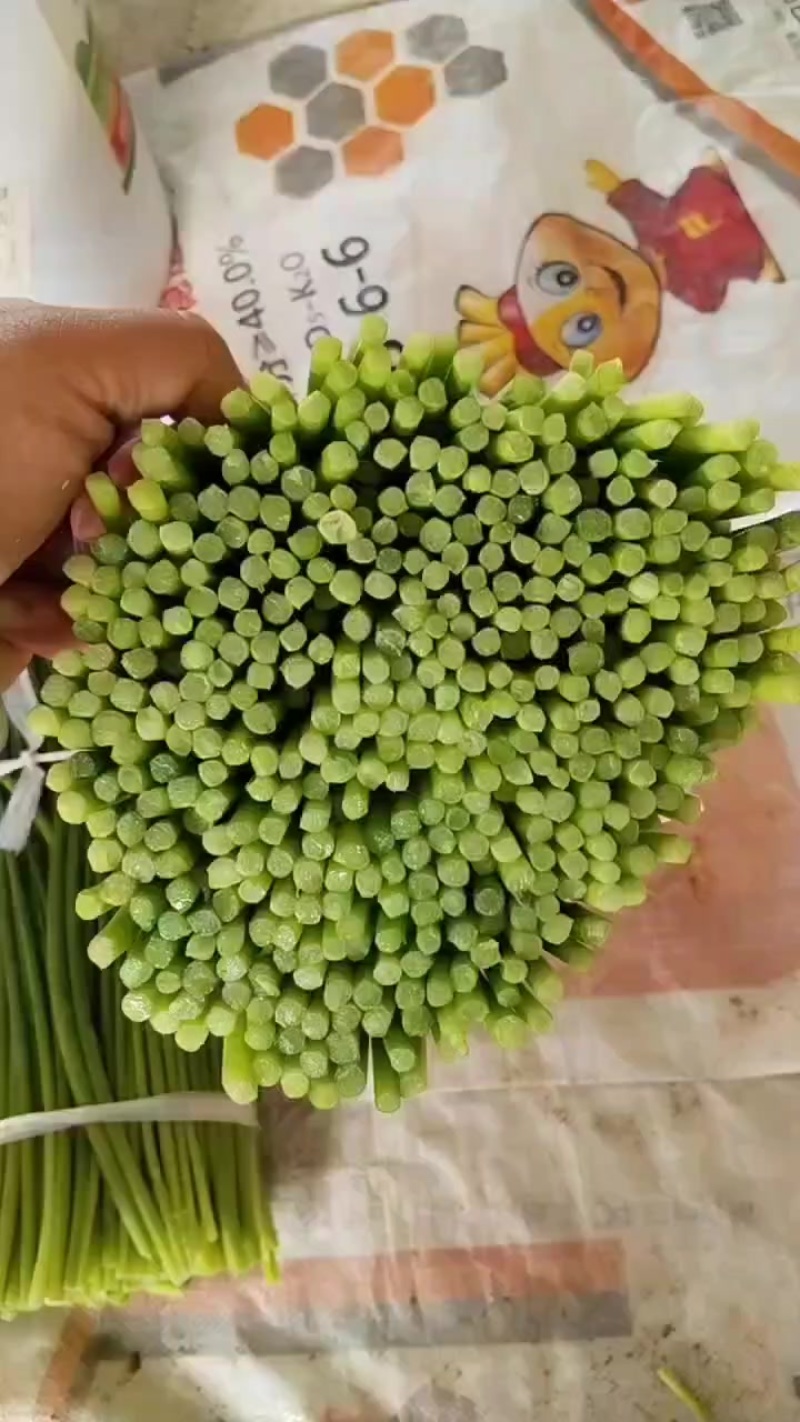 皖北精品韭苔产地直发