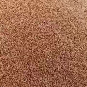 水煮熟虾，好吃，价格便宜