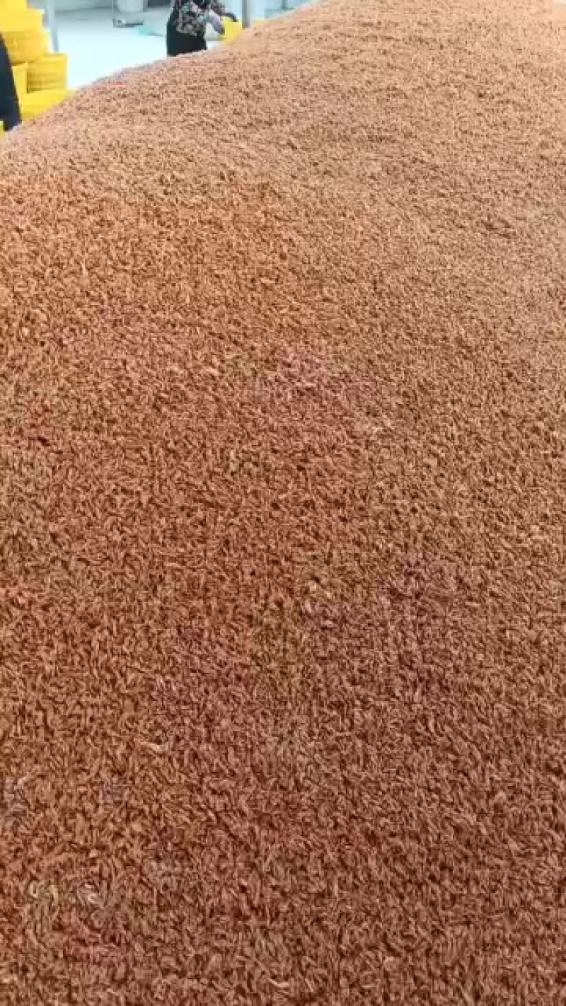 水煮熟虾，好吃，价格便宜