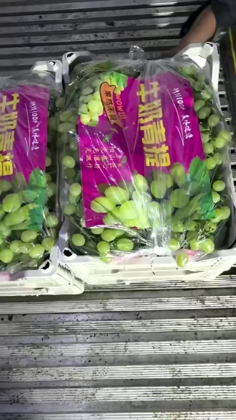 维多利亚葡萄大量上市
