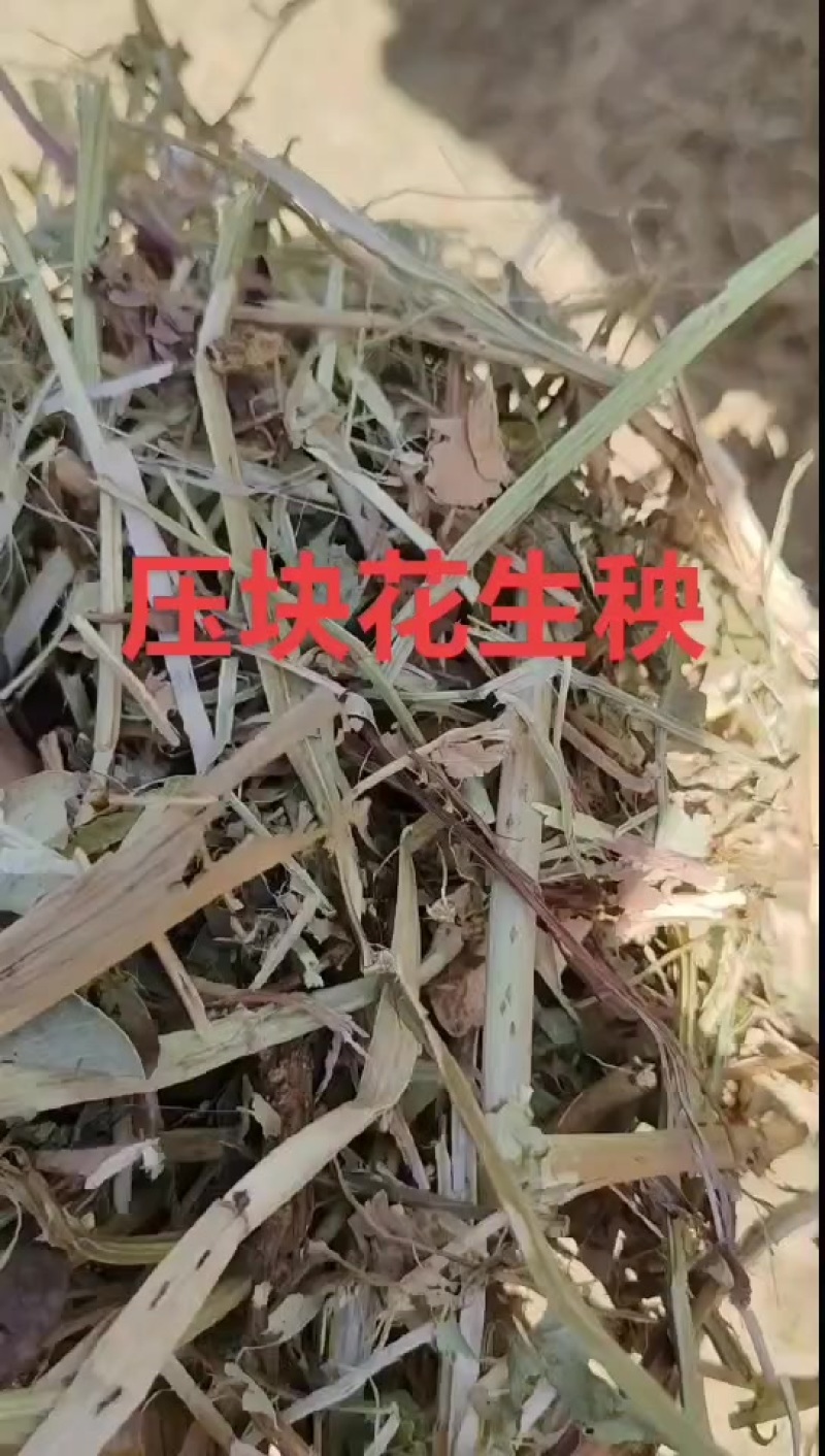 压块花生秧，叶粉，花生壳细粉，熟化花生秧颗粒