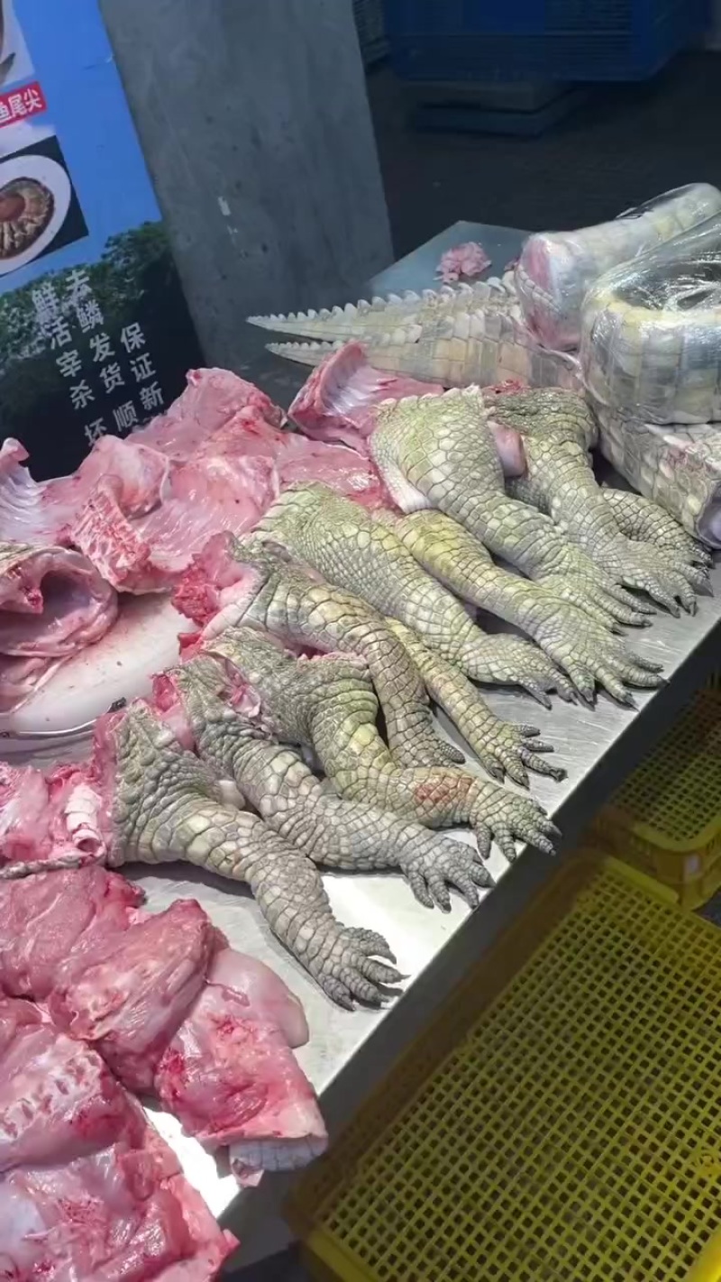 鳄鱼肉