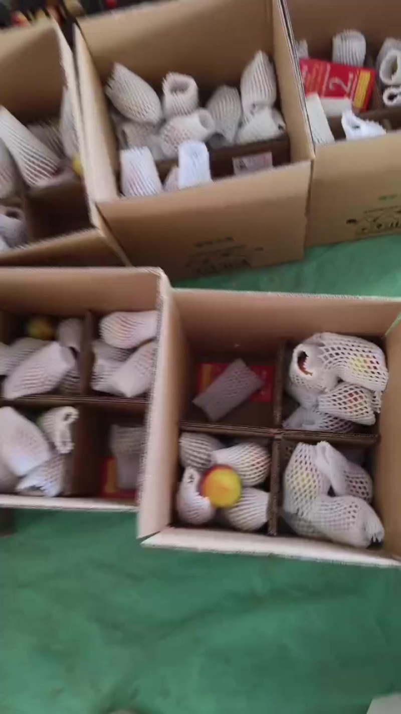 中油油桃